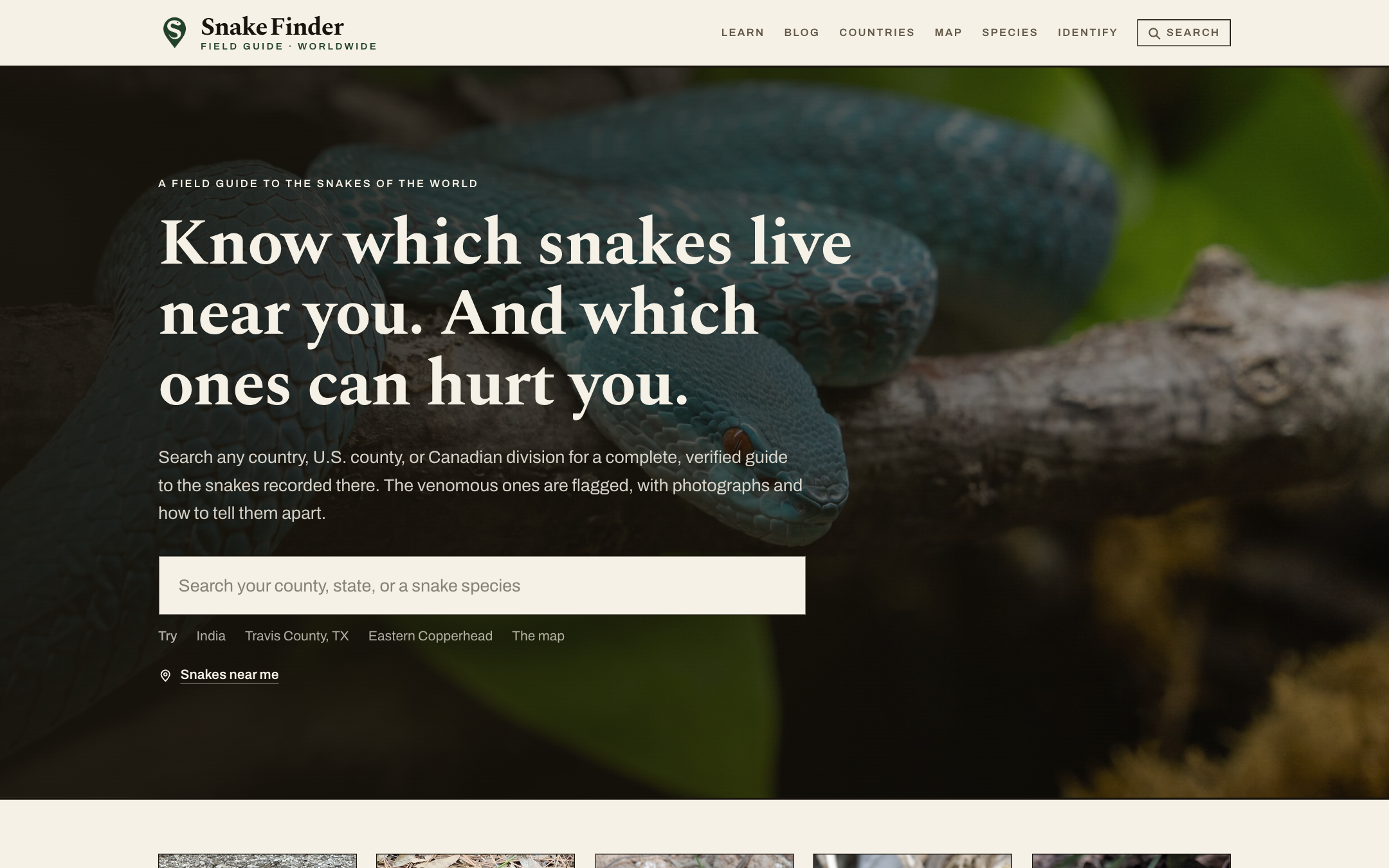 SnakeFinder screenshot